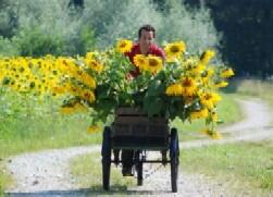 Willi und die Wunder dieser Welt