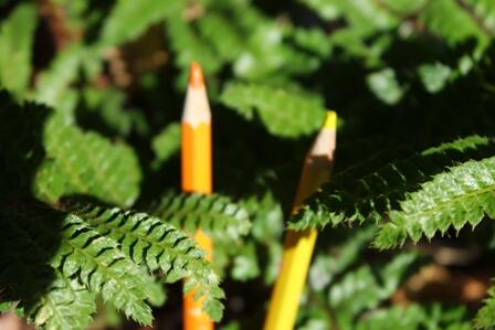 Verbeamtung und Quereinsteiger 