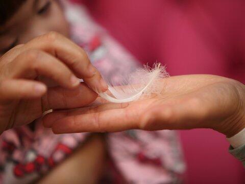 Nestwärme: Plattform verbindet Familien und Ehrenamtliche