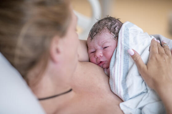 Kurz nach der Geburt finden Babys allein zur Brust