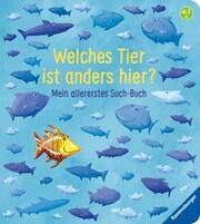 Welches Tier ist anders hier – mein allererstes Suchbuch Penners, Bernd 978-3-473-43758-0 8,99 € ab 2  J