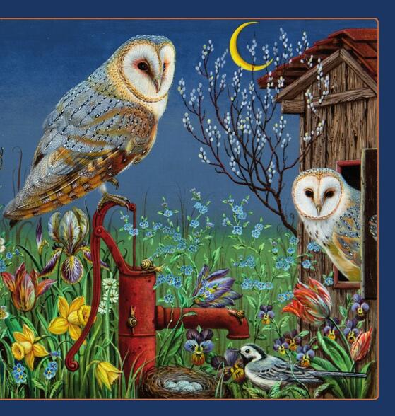 Kinderbuch: Kleine Vogel-Wunderkammer und Begleitbuch