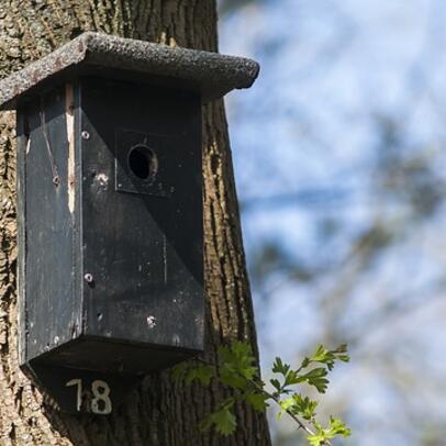 Märchenrätsel Adventskalender: Türchen Nr. 18