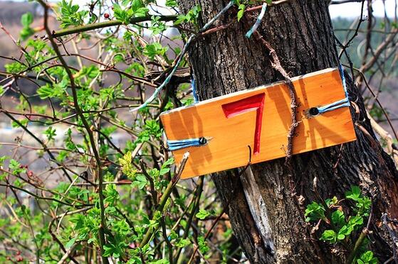 Märchenrätsel Adventskalender: Türchen Nr. 7