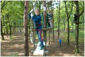 Adrenalinschub mit Aussicht: Klettern in Berlin und Umgebung