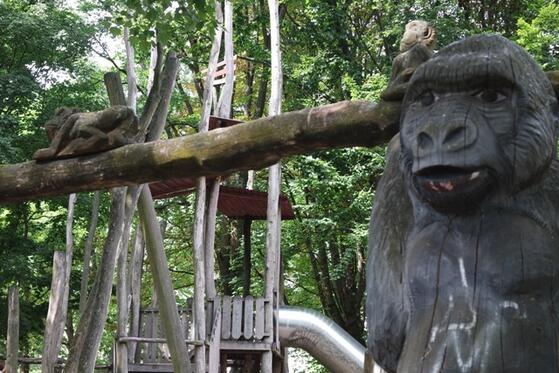 Dschungel-Spielplatz im Steglitzer Bäke-Park