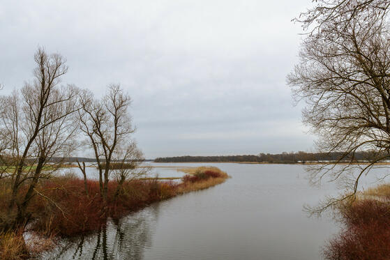 Seewanderung: Mittlerer Beetzsee