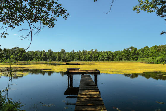 Bergsee und Rammoltsee