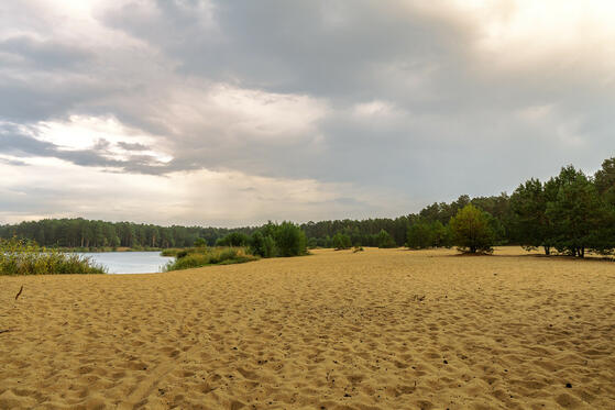 Seewanderung: Bernsteinsee