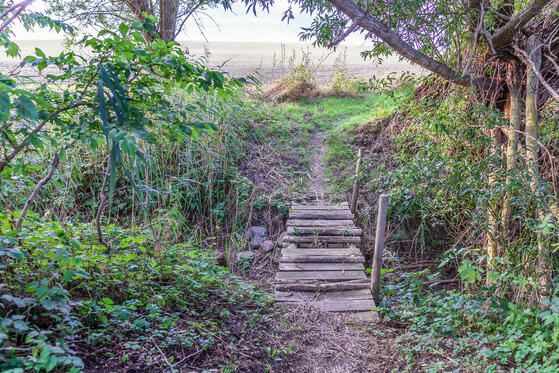 Seewanderung: Blankenburger See