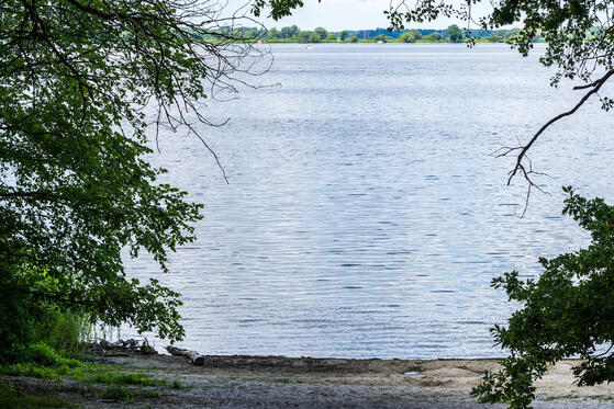 Seewanderung: Breitlingsee (Teil 2)