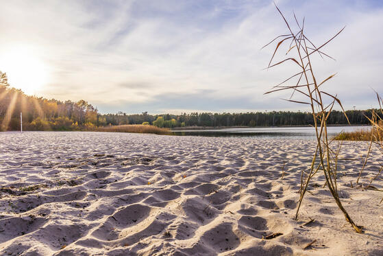 Seewanderung: Briesener See