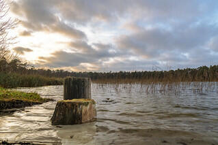 Seewanderung: Bukowsee