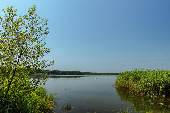 Seewanderung: Byhleguhrer See