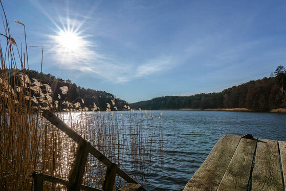 Seewanderung: Chossewitzer See