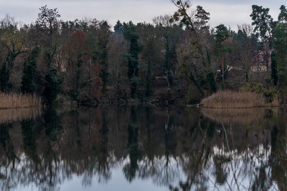 Seewanderung: Dornbuschsee und Tongrube Bralitz