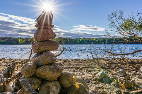 Seewanderung: Dreetzsee