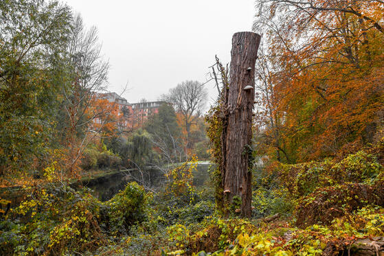 Seewanderung: Fennsee