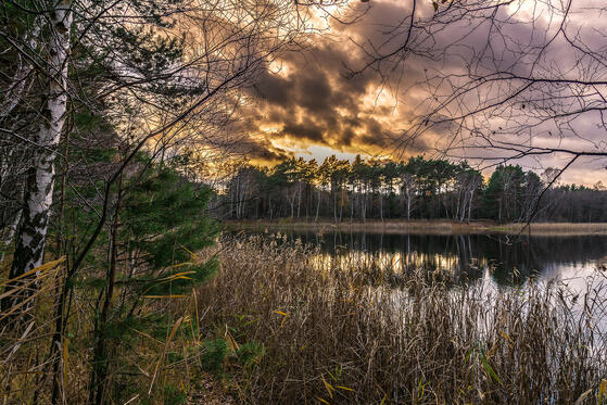 Seewanderung: Godnasee