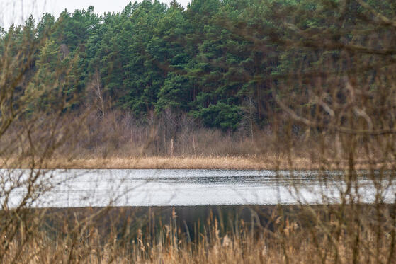 Seewanderung: Großer und Kleiner Gollinsee und Bebersee