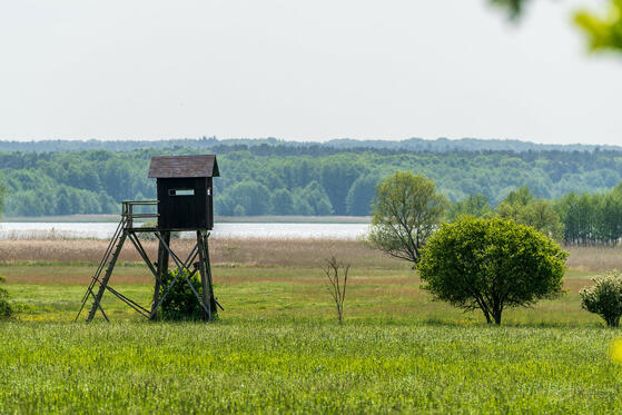 Seewanderung: Grimnitzsee (Barnim)