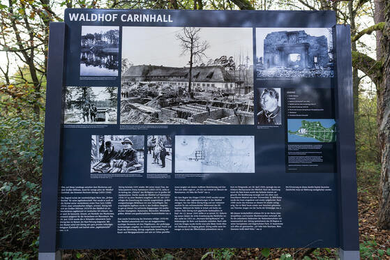 Seewanderung: Großdöllner See