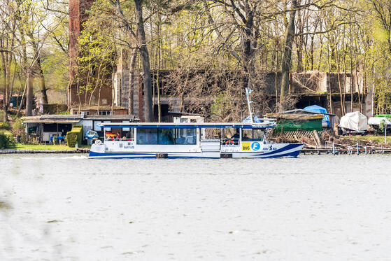 Seewanderung: Große Krampe und Seddinsee