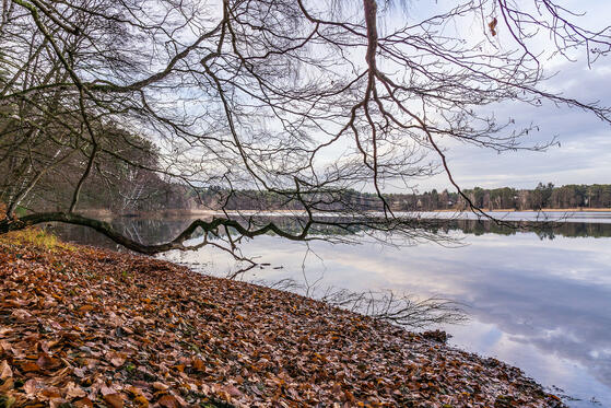 Seewanderung: Großer und Kleiner Wukensee