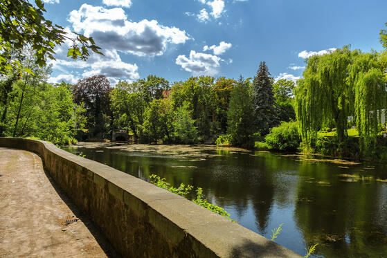 Seewanderung: Hubertussee, Herthasee und Hundekehlesee