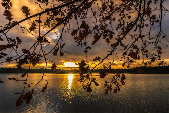 Seewanderung: Inselteich