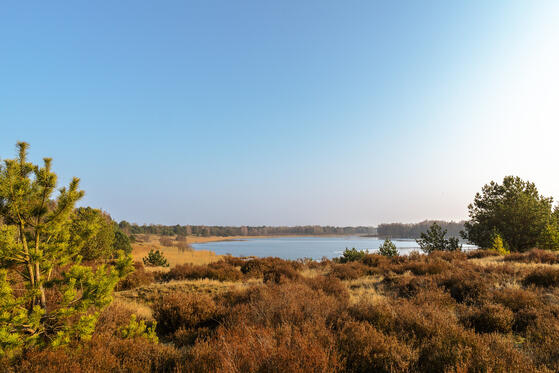 Seewanderung: Großer Kramssee und Oberer und Unterer Miltensee