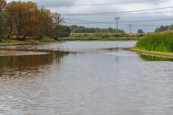 Krummer See Werneuchen
