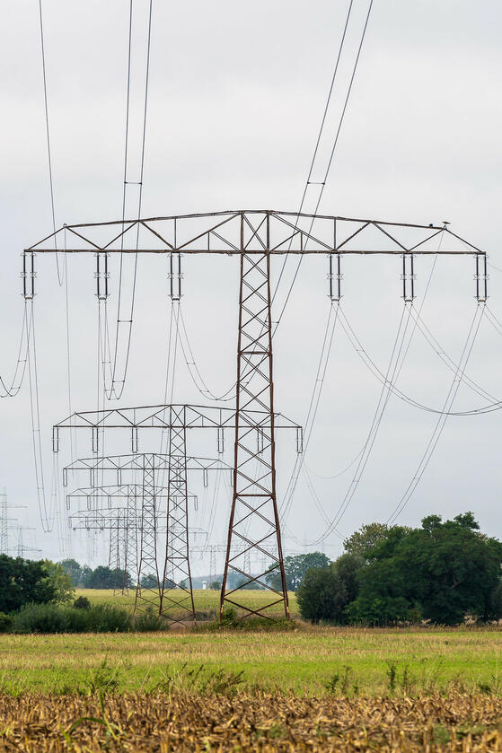 Krummer See Werneuchen 3