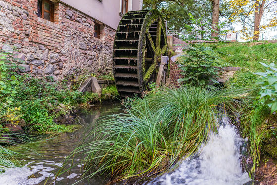 Seewanderung: Madlitzer See