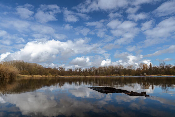 Seewanderung: Malchower See, Malchower Aue und entlang am Torfstich