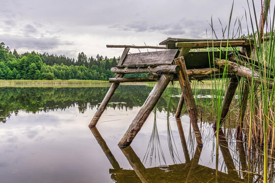 Seewanderung: Markgrafensee und Röthsee