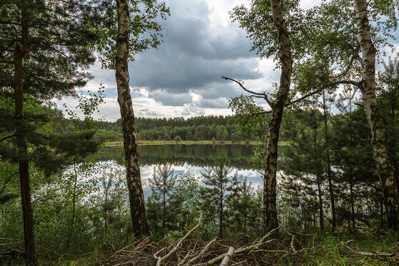 Seewanderung: Großer und Kleiner Milasee
