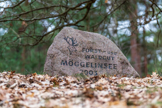 Möggelinsee 2