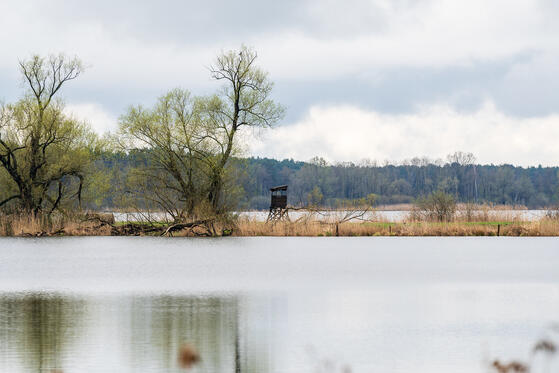 Seewanderung: Neuendorfer See