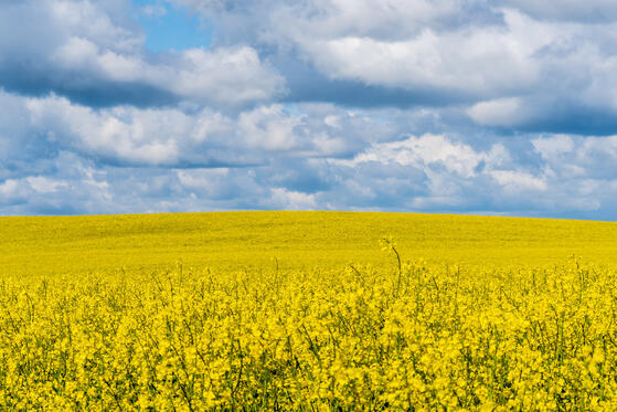 Parsteiner See Teil 2