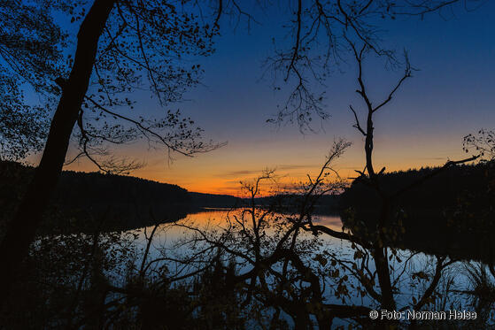 Seewanderung: Petersdorfer See