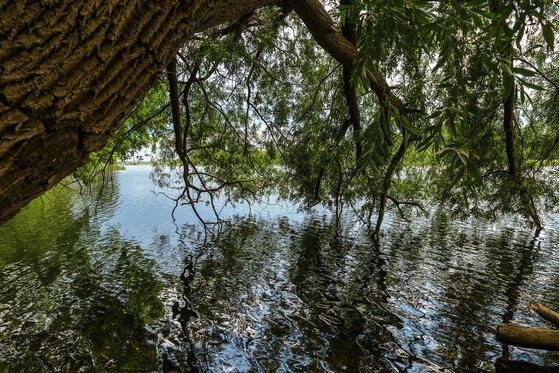 Seewanderung: Großer Plessowsee