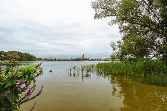 Ruppiner See