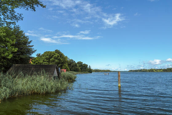 Seewanderung: Ruppiner See (Teil 1)