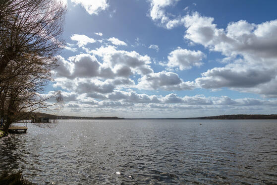 Seewanderung: Scharmützelsee (Ostufer)