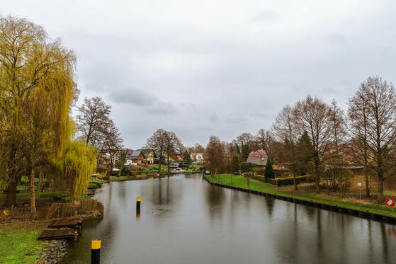 Seewanderung: Scharmützelsee (Westufer)