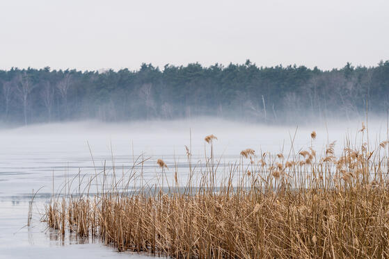 Seewanderung: Störitzsee