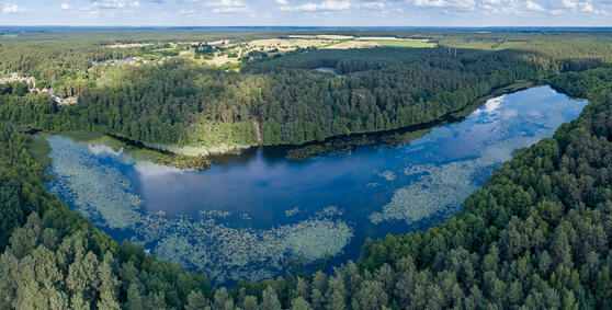 Seewanderung: Strehlesee und Bauersee