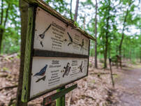 Teufelssee Köpenick