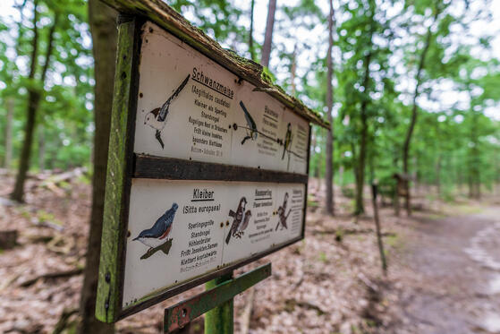 Seewanderung: Teufelssee und Krumme Laake